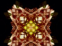 A29A8468-web770x1079U100