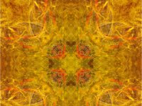 IMG 1466 : Web Sharp: Original ratio