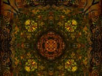 IMG 1474 : Web Sharp: Original ratio