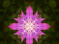 IMG 4659-web767x767U120