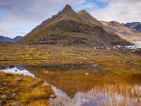 585A0959 : Web Sharp: Original ratio