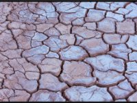 Atacama Desert10