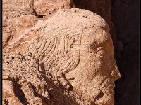 Atacama Desert11