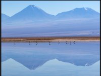 Atacama Desert17