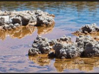 Atacama Desert18
