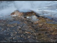 Atacama Desert23