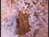 Atacama Desert6