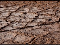 Atacama Desert8