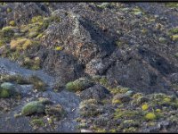 Lago Grey 20160317 0262