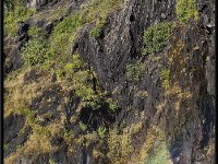 Lago Grey 20160317 0380