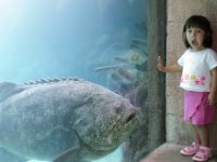 Bahamas Fish016