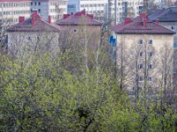 IMG 7948-Enhanced-NR