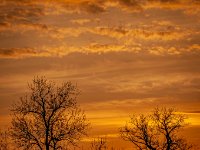 IMG 8089-Enhanced-NR