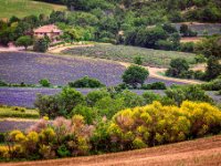 IMG 1391-web719x1079U60