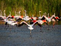 MG 2021-web727x1078U90