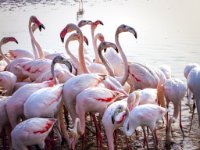 MG 2057-web822x1077U100