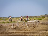 MG 2634-web766x1078U80