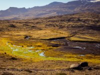 585A0343a : Web Sharp: Original ratio