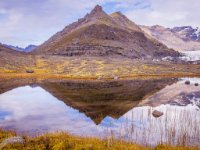 585A0950-Enhanced-NR