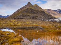 585A0959 : Web Sharp: Original ratio