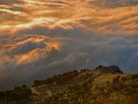 CRW 1786-web800x1200U120