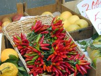 P6250002-web1254x932U100