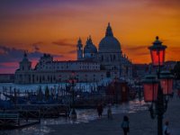 IMG 2376-web919x1300U100