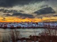 20180305 6443-web719x1079U60