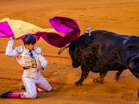 P6A8435-Enhanced-NR : Web Sharp: Original ratio