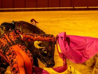 P6A9217-Enhanced-NR : Web Sharp: Original ratio