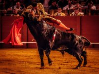 P6A9313-Enhanced-NR : Web Sharp: Original ratio