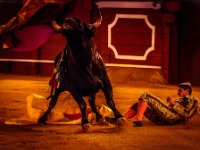 P6A9333-Enhanced-NR : Web Sharp: Original ratio