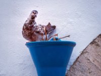 A29A1620-web1320x1080U100