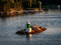 IMG 5163-Enhanced-NR