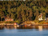 IMG 5169-Enhanced-NR