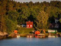 IMG 5173-Enhanced-NR