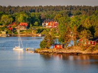 IMG 5174-Enhanced-NR