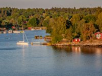 IMG 5177-Enhanced-NR