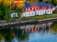 IMG 5183-Enhanced-NR