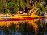 IMG 5186-Enhanced-NR