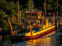 IMG 5191-Enhanced-NR