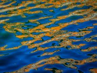 IMG 5195-Enhanced-NR-1