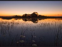 Nature13