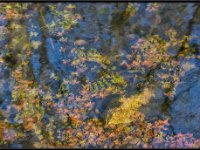 Nature26