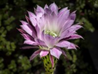 585A0651-Enhanced-NR