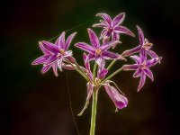 585A5576-Enhanced-NR-enhanced 1159x1600 U 100 Original ratio gainMap