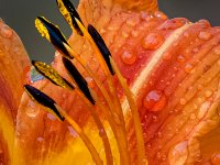 585A7386-Enhanced-NR