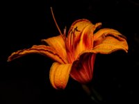 A29A8444 copy-web911x1079U100