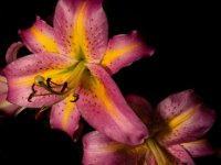 A29A8459-web1190x1080U100