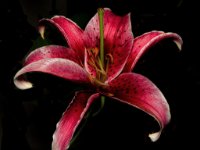 A29A8463-1-web934x1080U150